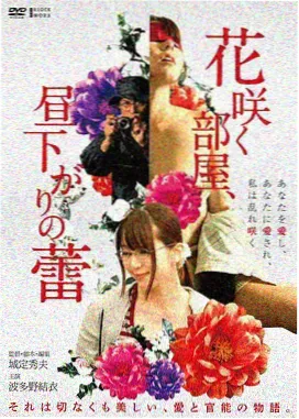 河对岸的房间 韩国伦理限制级电影
